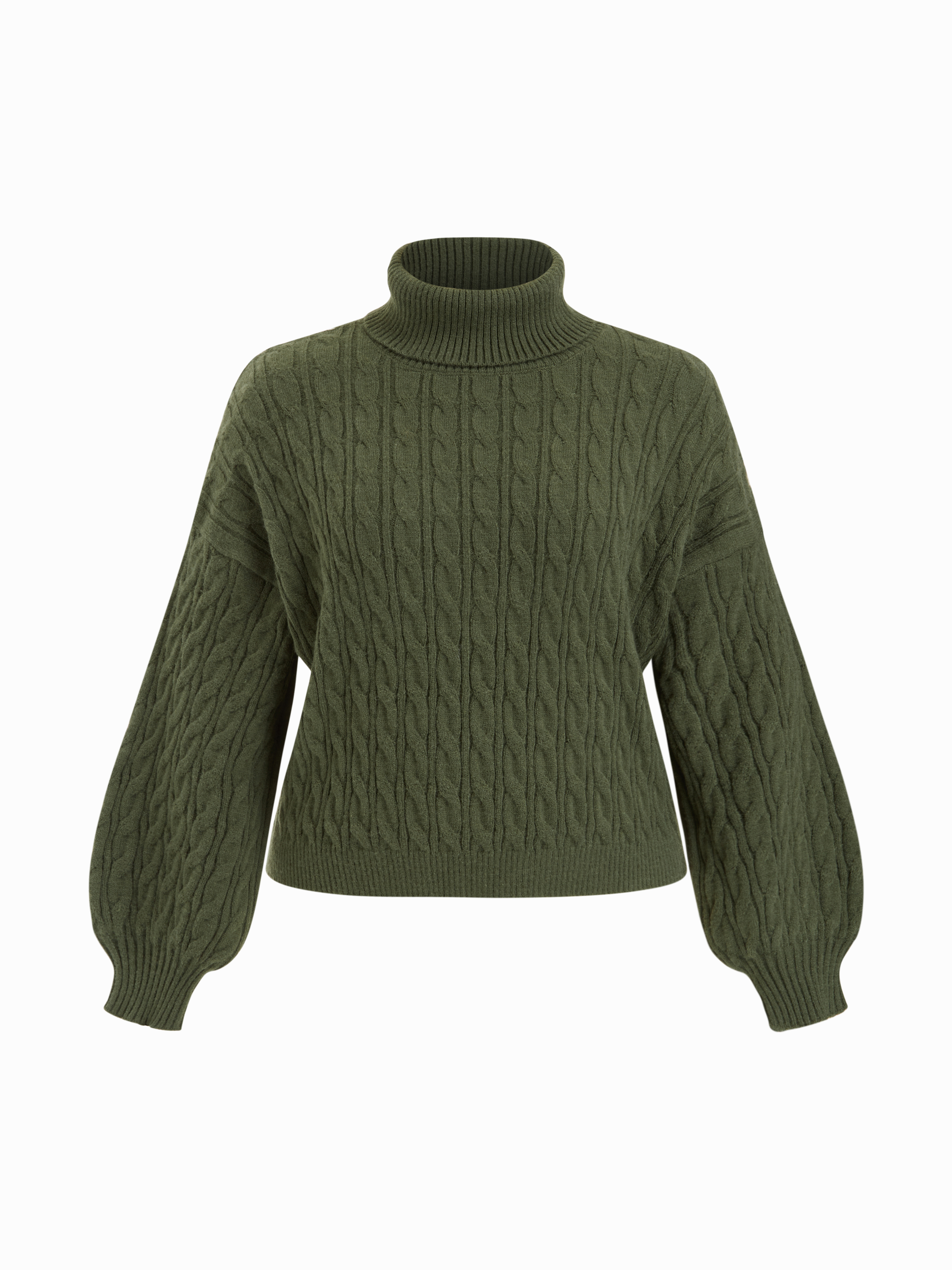 Cable Knit Turtleneck Solid Long Sleeve Crop Top Curve & Plus